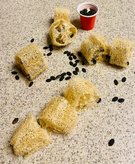 Luffa Gourds Seeds